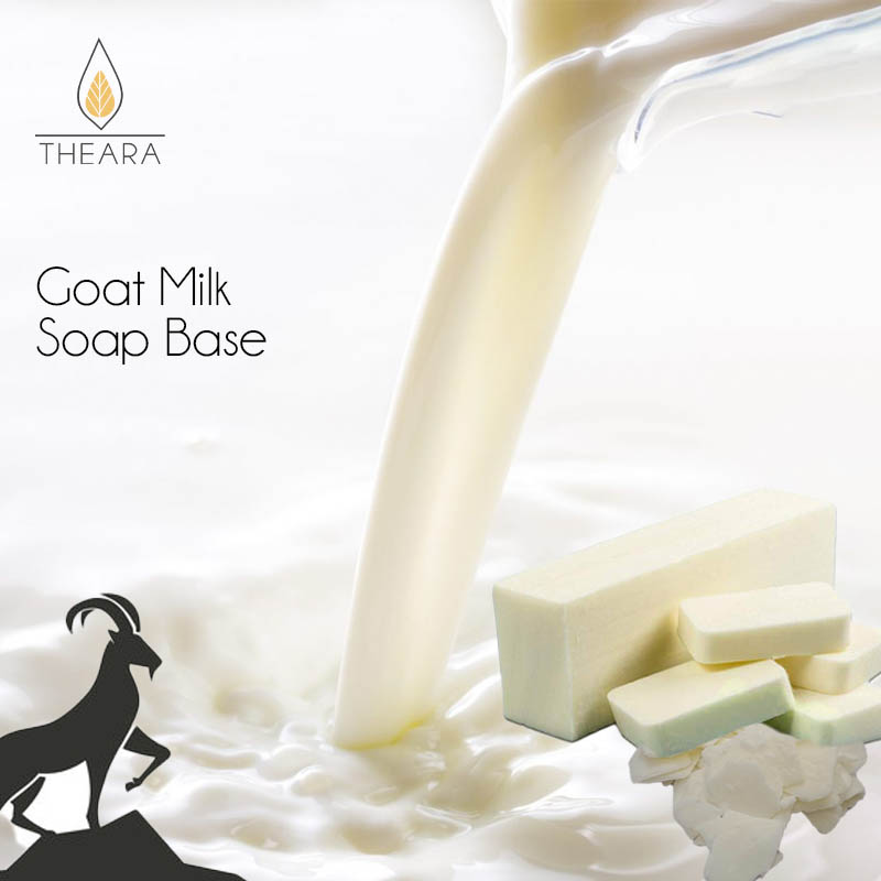 goat milk products